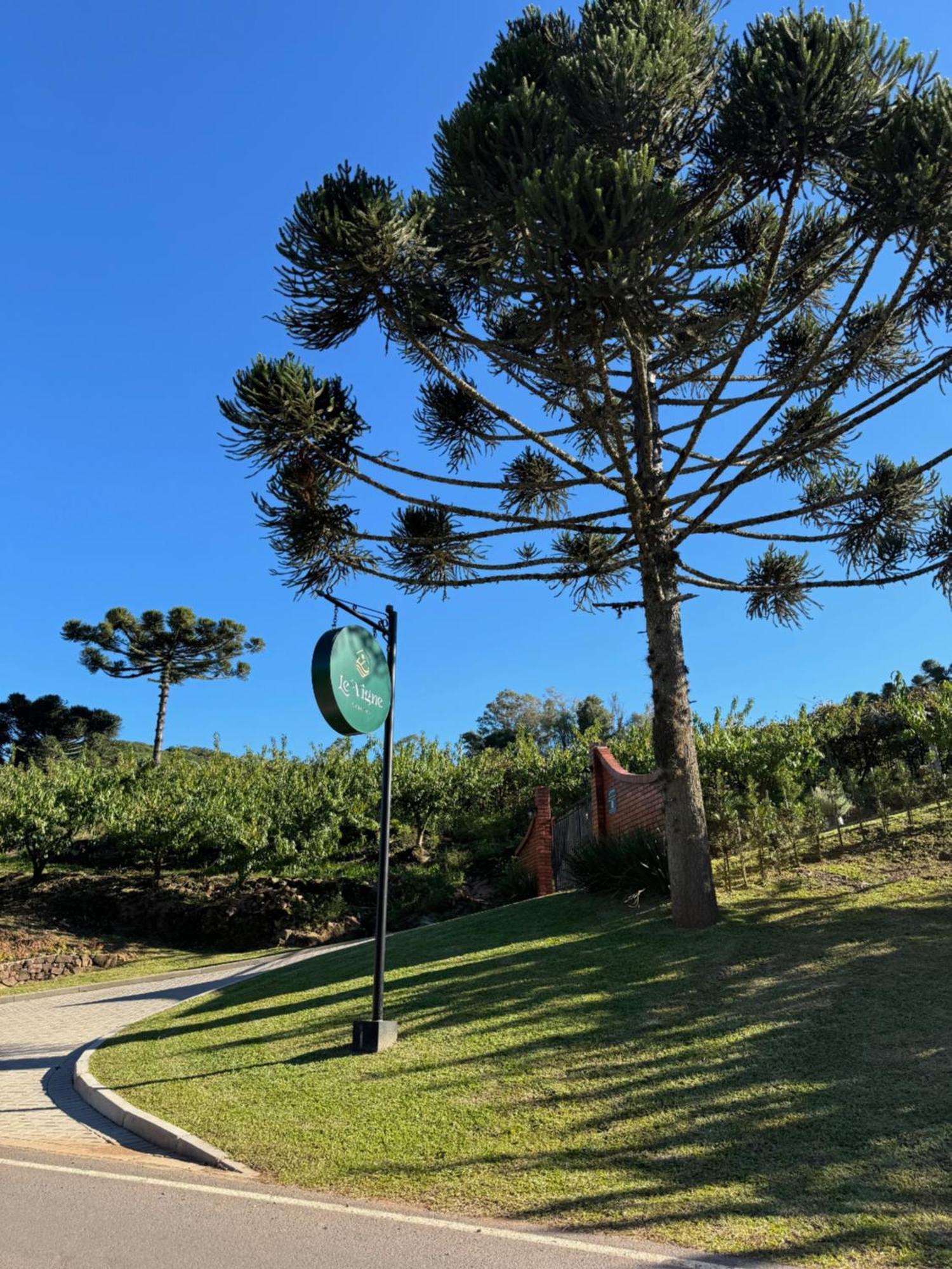 Cabanas Le Vigne Pinto Bandeira Exterior foto