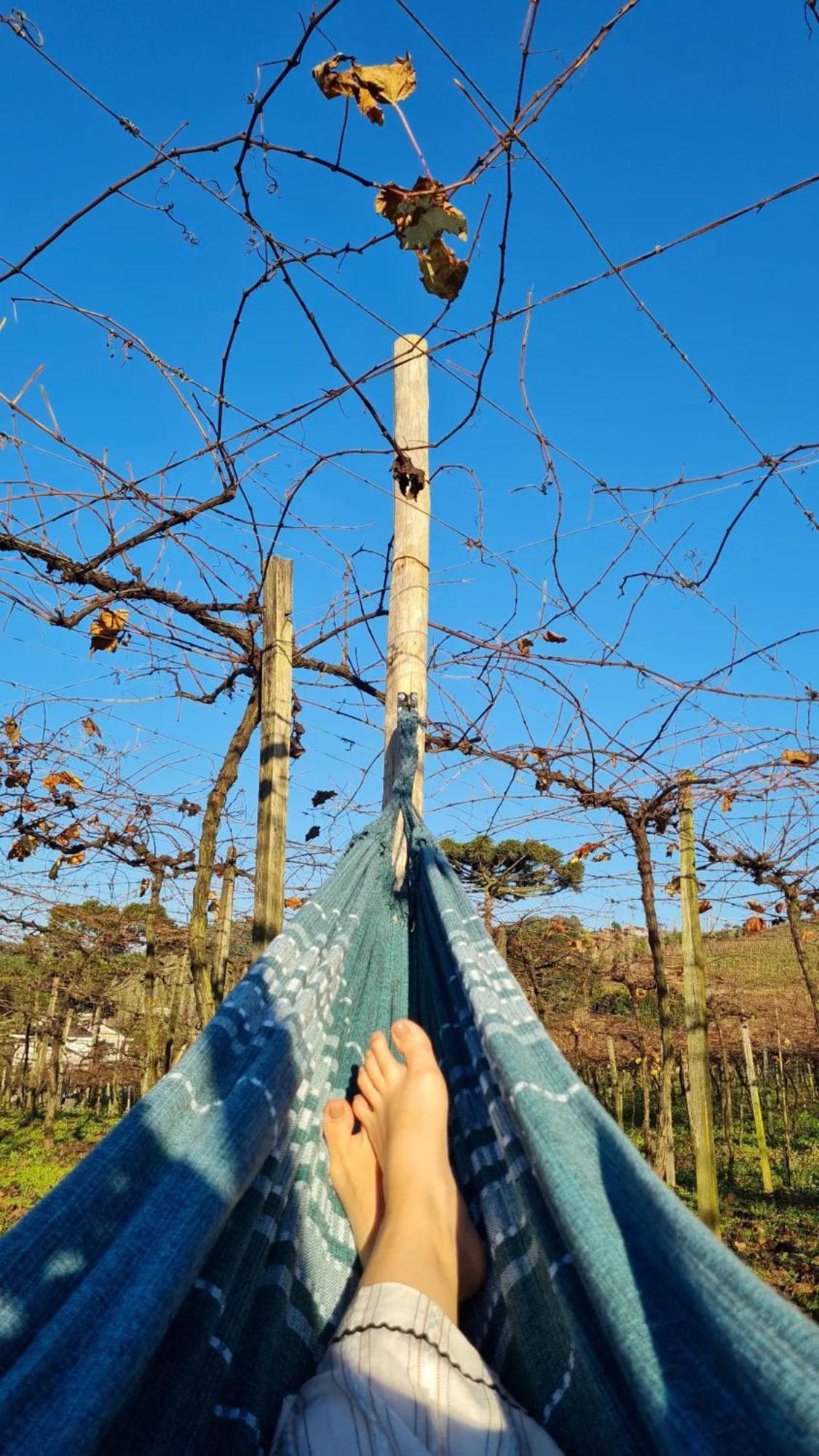 Cabanas Le Vigne Pinto Bandeira Exterior foto