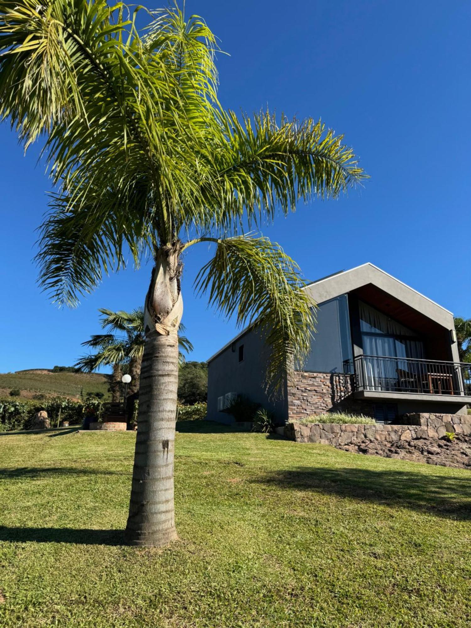 Cabanas Le Vigne Pinto Bandeira Exterior foto