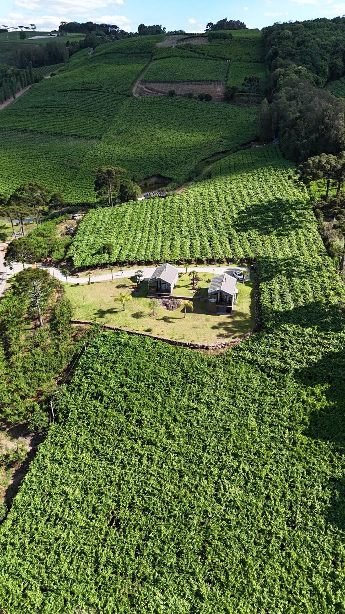 Cabanas Le Vigne Pinto Bandeira Exterior foto